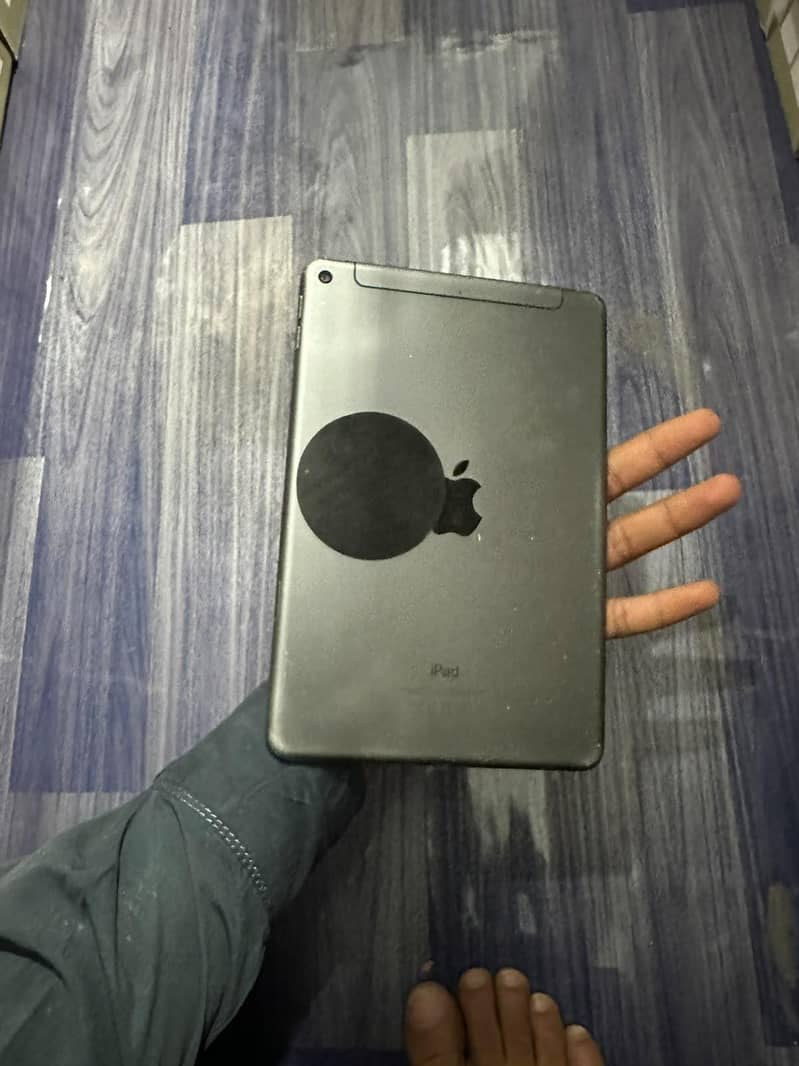 ipad mini 5 256 gb 4