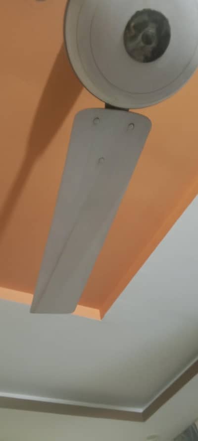 Fan (G. F. C) For Sale