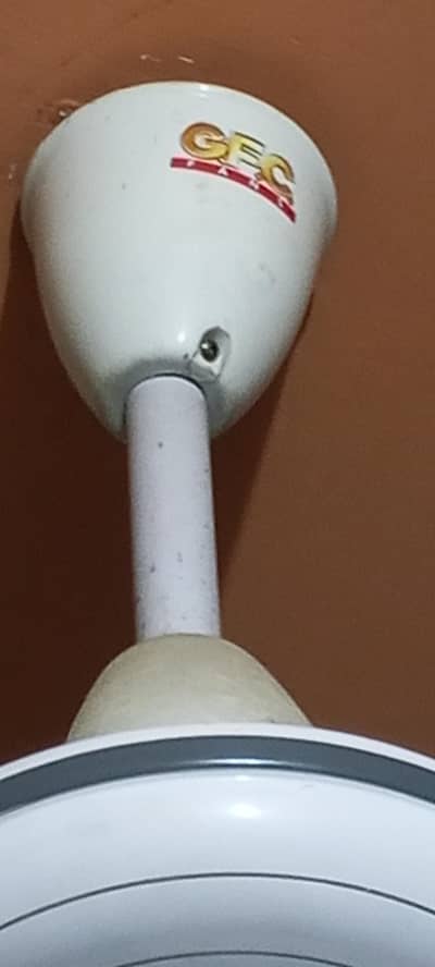 Fan (G. F. C) For Sale