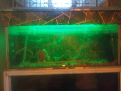 Aquarium