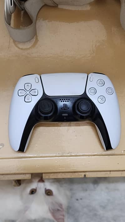 DualSense 5, PS5 Controller (2 Years Used)