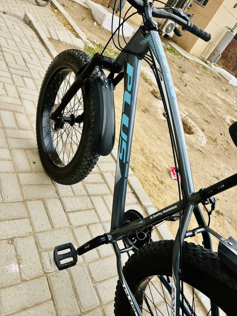 Plus Mountain Bicycle 1