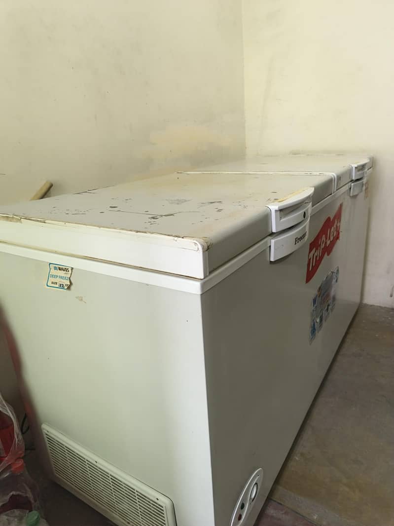 Double Door freezee 1
