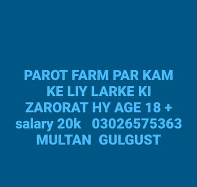 PARROT FARM WORKER LABOUR JOB 03026575363 mult