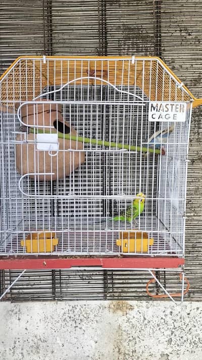cage with pair for sale Whatsapp no 03413232265