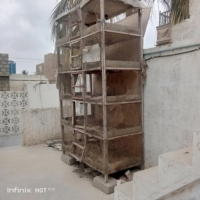 wooden cage — photo 2