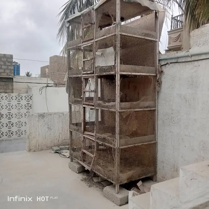 wooden cage — photo 3