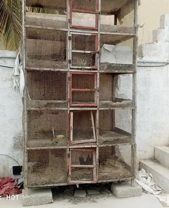 wooden cage — photo 4
