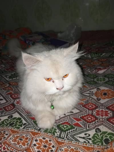 change the eyes color