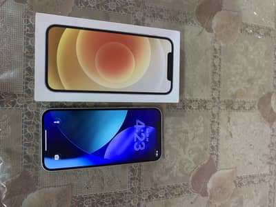 Apple iPhone 12 non pta 64gb