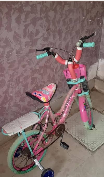 girl bycel Pink clour