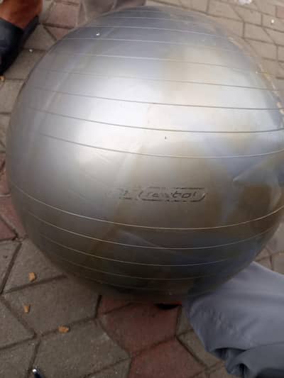 EXERCISE BALL