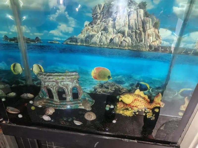 acuriam — photo 3