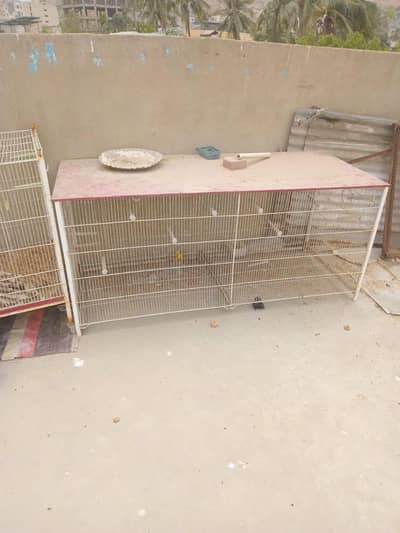 Flying Cage
