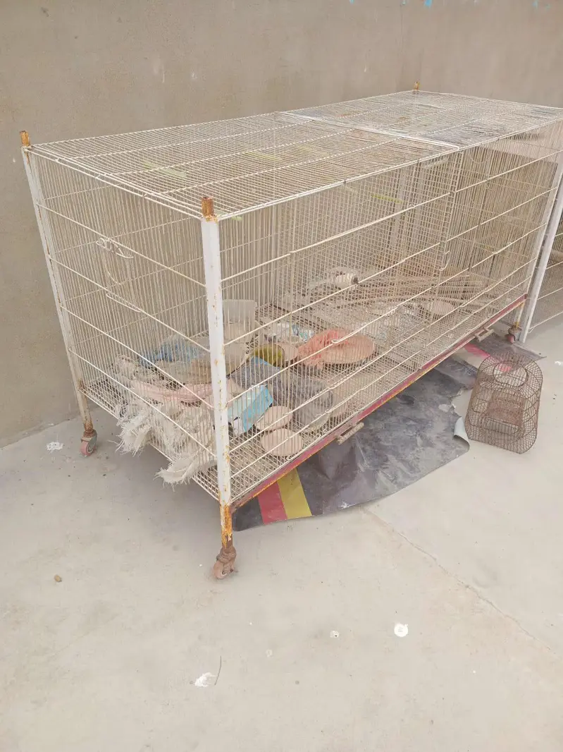 Flying Cage — photo 2