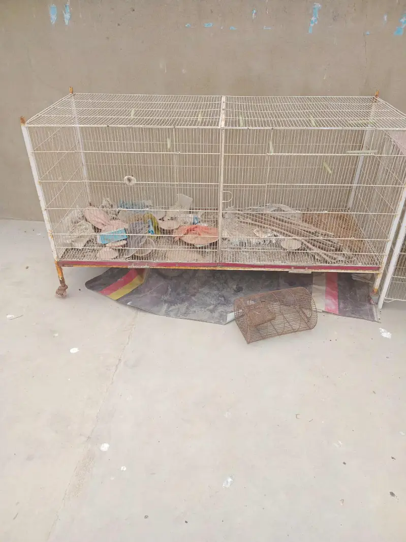 Flying Cage — photo 3