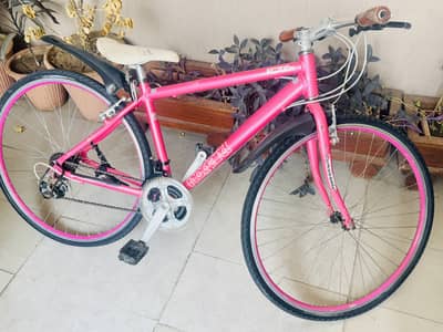 Original Japanese Gear Bycycle