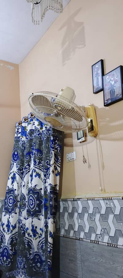 Royal fan