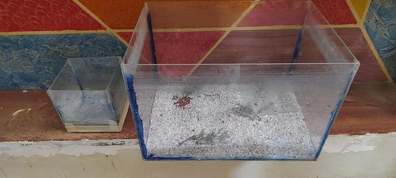 fish aquarium for sale by one get one free — photo 2