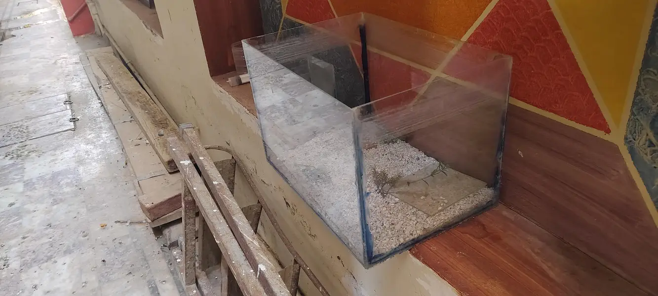 fish aquarium for sale by one get one free — photo 5
