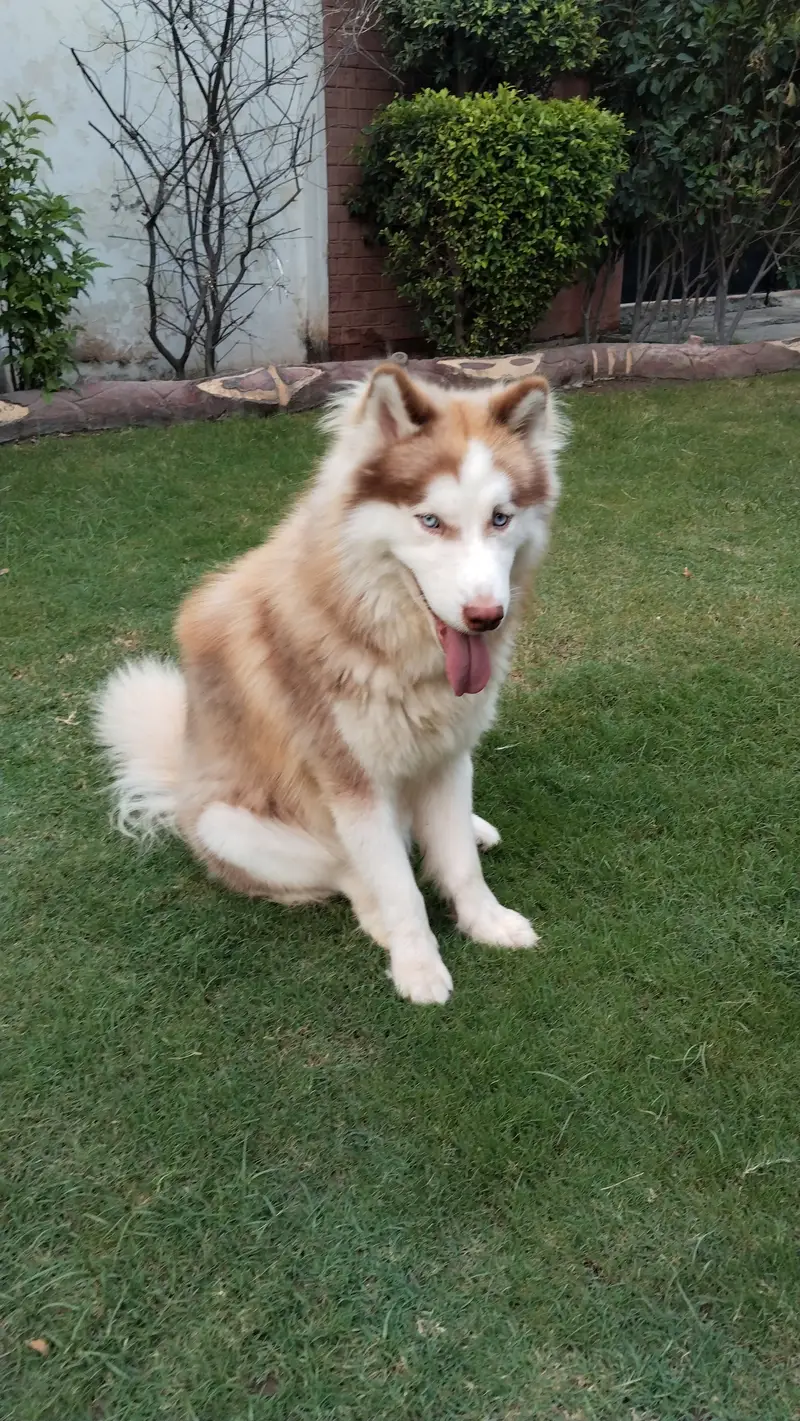 1 year and 4 months old  , #healthy, #vaccinated and adorable — photo 2