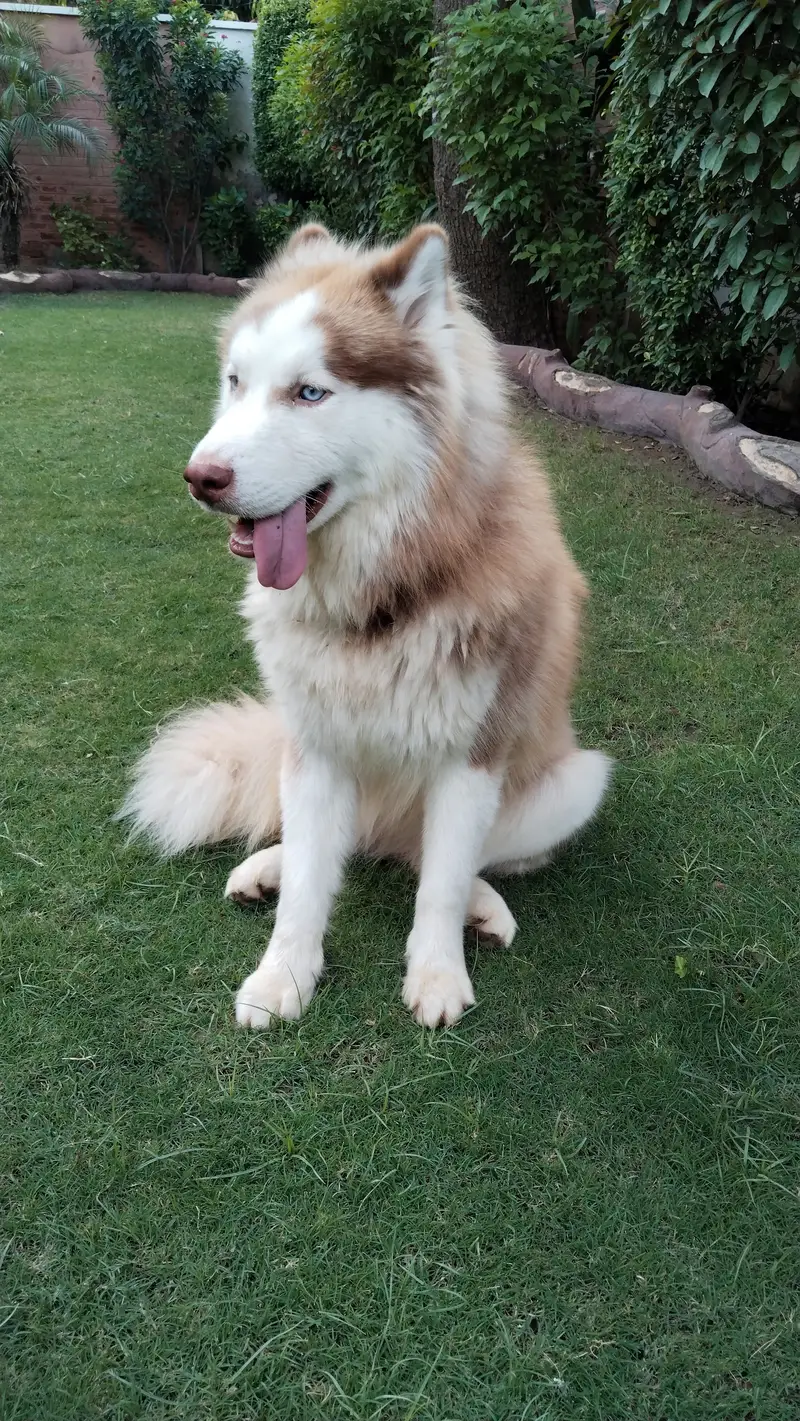 1 year and 4 months old  , #healthy, #vaccinated and adorable — photo 6