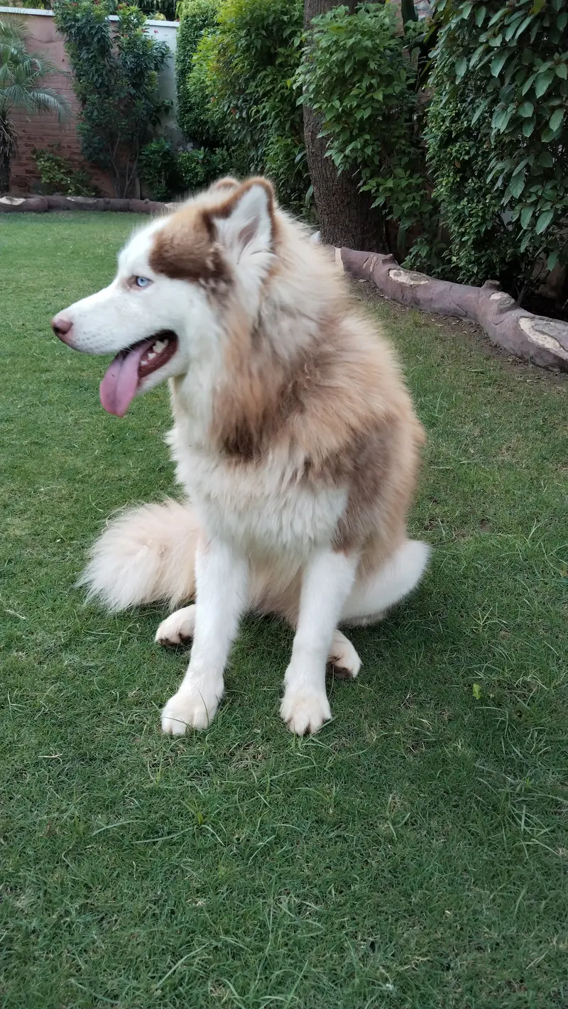 1 year and 4 months old  , #healthy, #vaccinated and adorable — photo 7