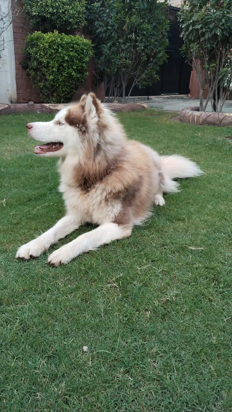 1 year and 4 months old  , #healthy, #vaccinated and adorable — photo 8