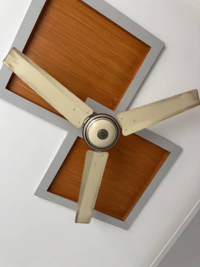 3 ceiling fans 03007650206
