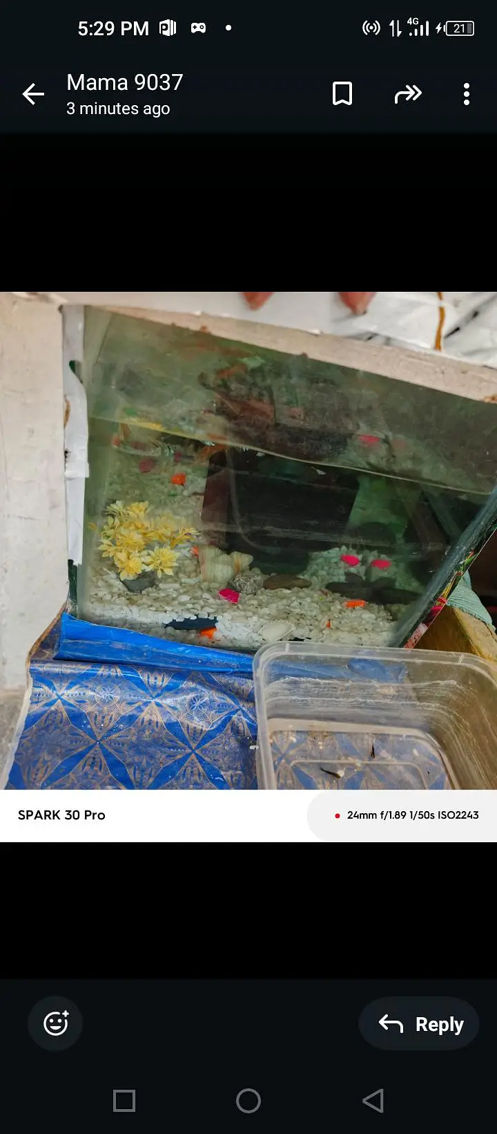 fish for sale tti road nawababad — photo 5