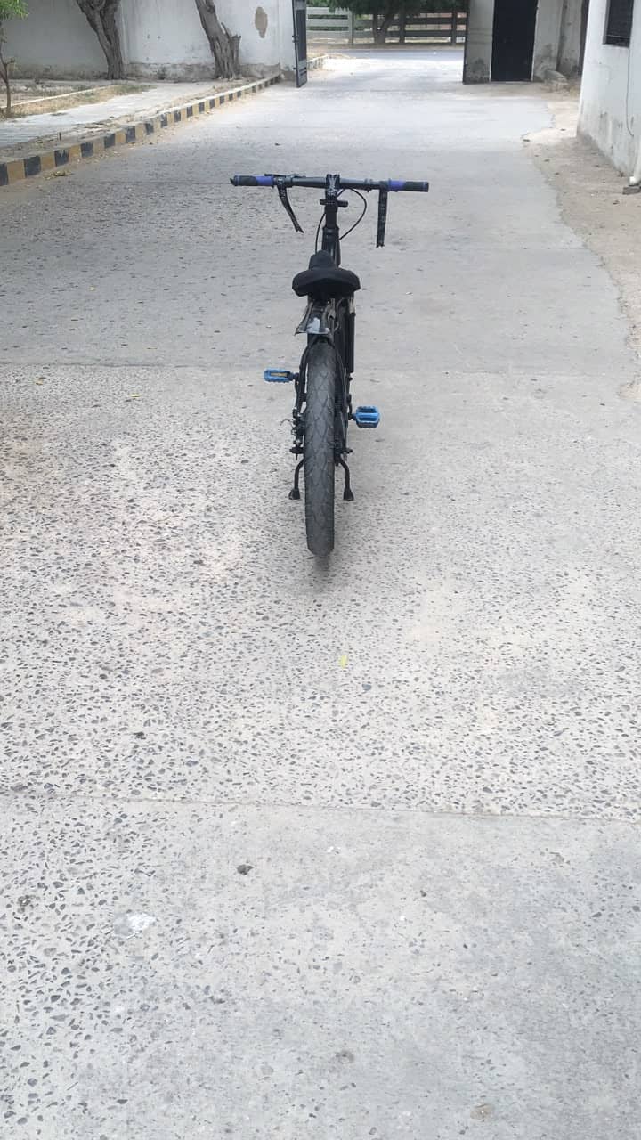 mountain cycle 2