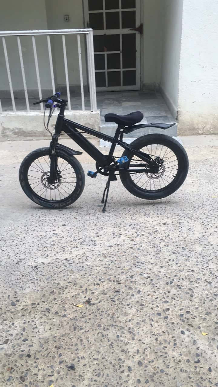 mountain cycle 5