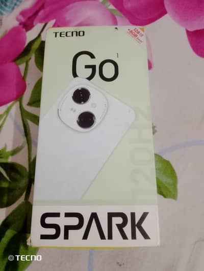 Tecno Spark Go