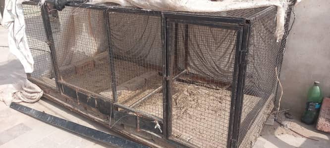 Cage for Hen