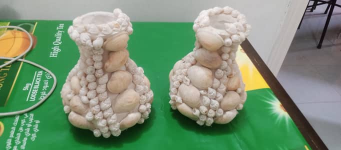 beautiful sea shell decorative flower