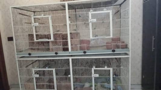 love birds new cages made in lahore
