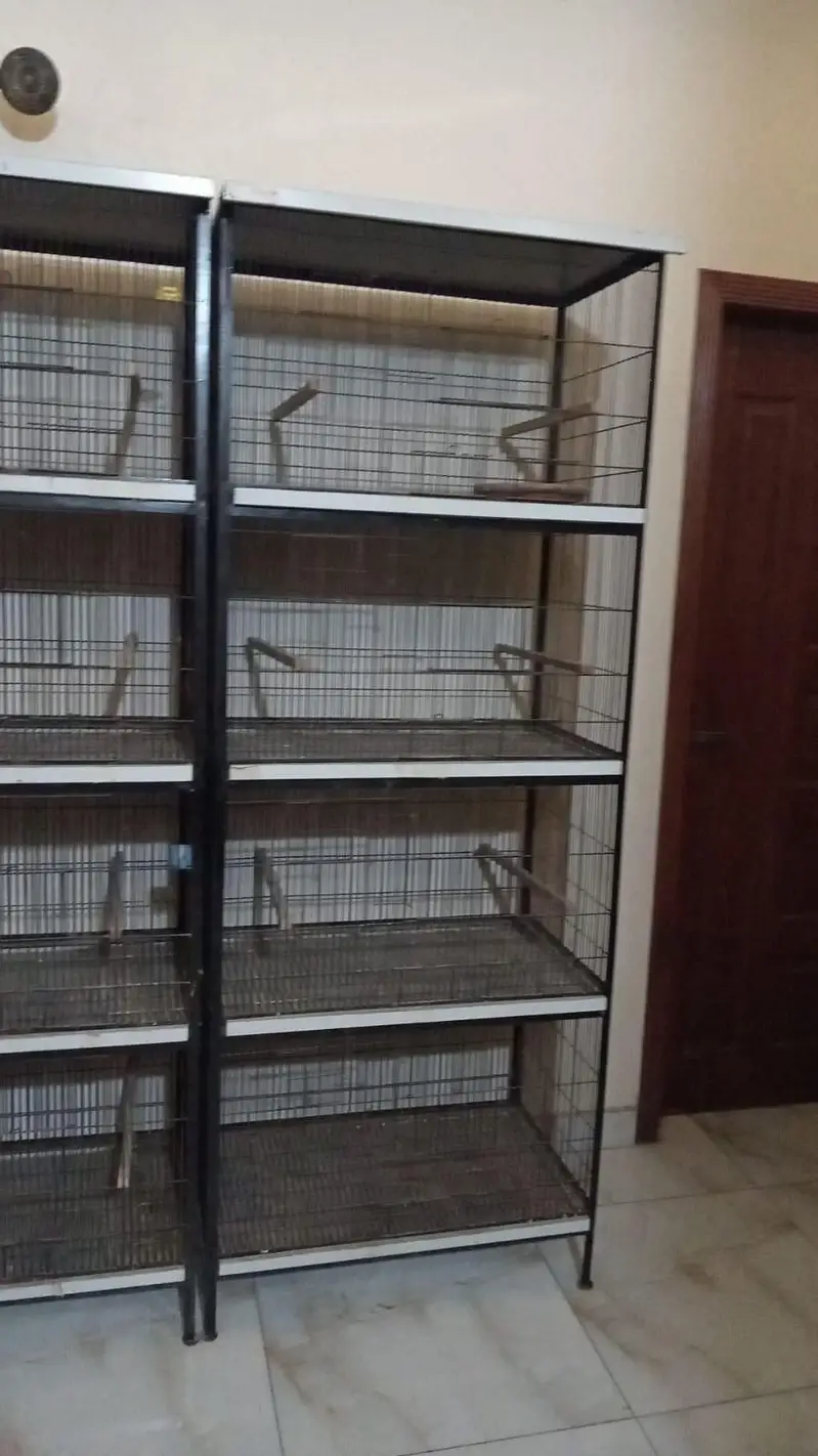 love birds new cages made in lahore — photo 3