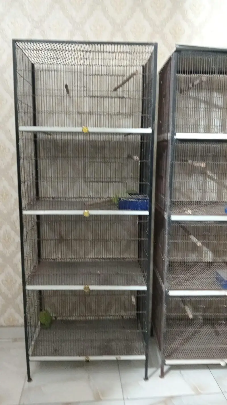 love birds new cages made in lahore — photo 5