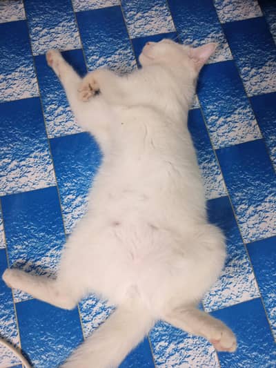 she is expecting dm for details
