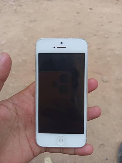 Apple iPhone 5