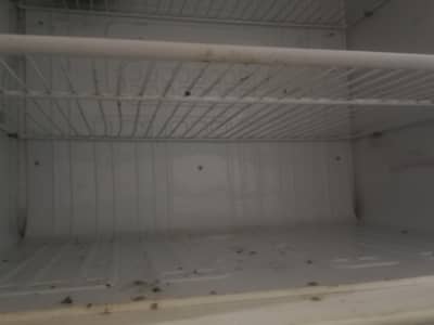 refrigerator sell munasab prize