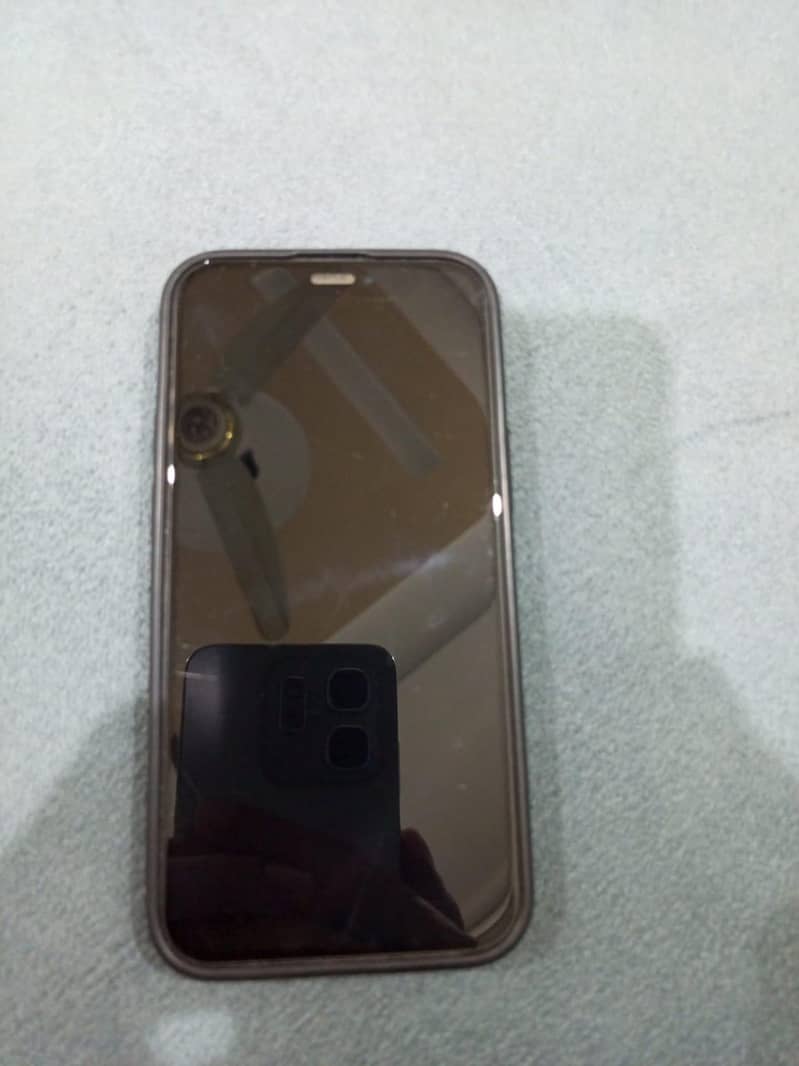 Apple iPhone 12 mini 0