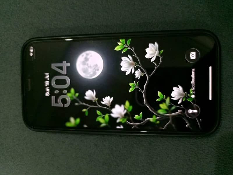 Apple iPhone 12 mini 1