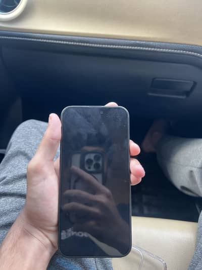Apple iPhone 15 Pro Max 256