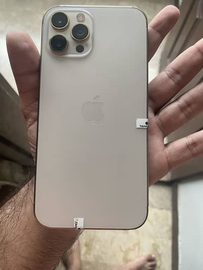 Apple iPhone 12 Pro Max