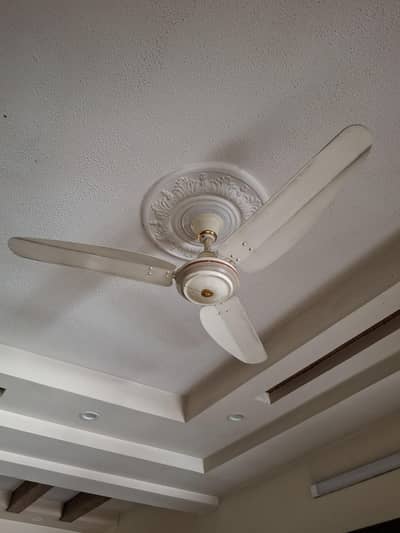 Ceiling Fans for sale  , Used (parwaz)