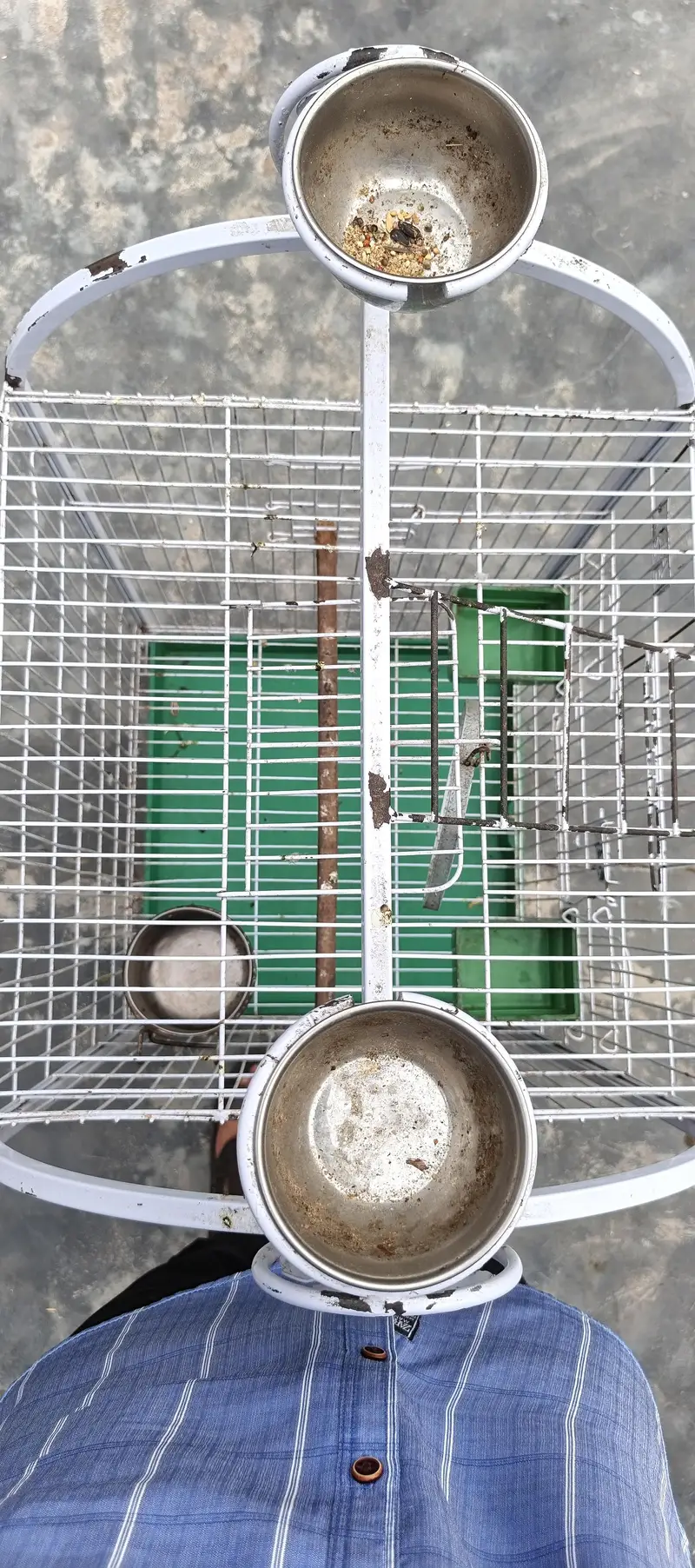 birds cage with wheels — photo 3