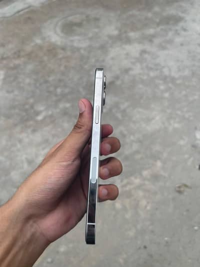 IPhone 12 promax