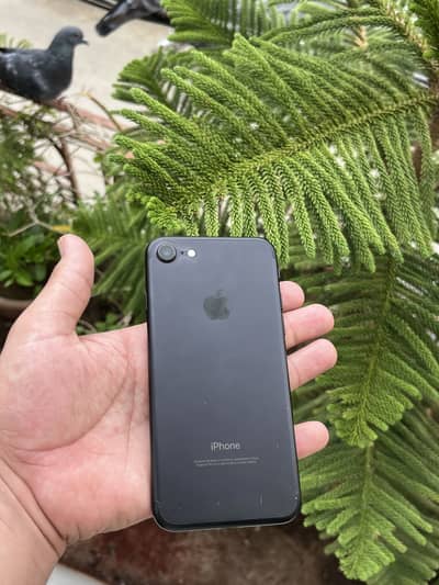 Apple iPhone 7