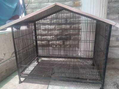 cage for sale